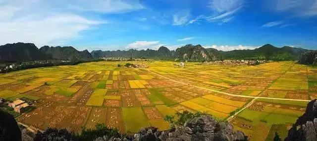 中國經(jīng)濟體制改革基金會全國第一！中國改革熱度第三方評估出爐，云浮宣傳系數(shù)在全國343個城市居首位                             