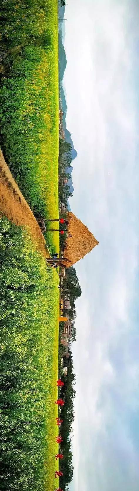 中國經(jīng)濟體制改革基金會全國第一！中國改革熱度第三方評估出爐，云浮宣傳系數(shù)在全國343個城市居首位                             